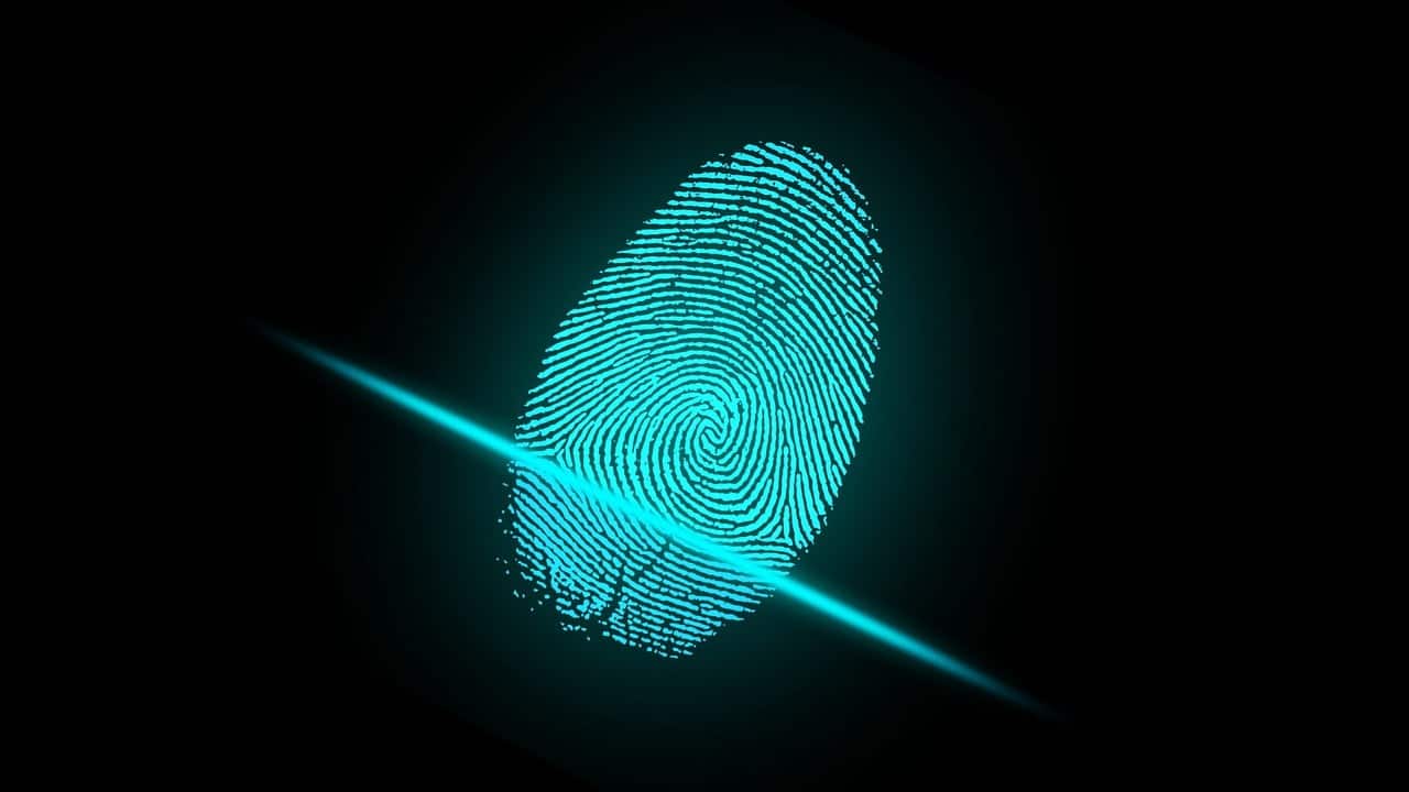 What is a Live Scan Background Check